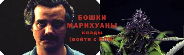 бошки Алексин
