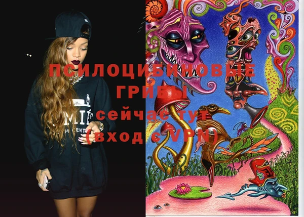 бошки Алексин