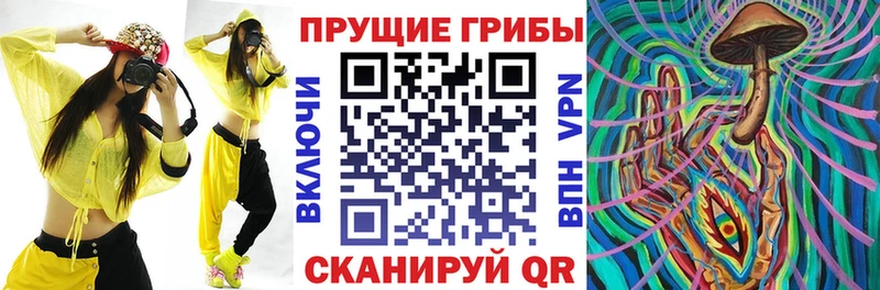 Псилоцибиновые грибы Cubensis blacksprut как войти Карачев купить закладку